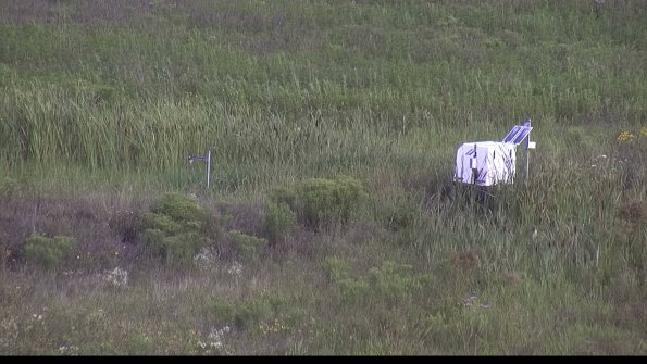 capture-5-23-08-05_09-00-51-32