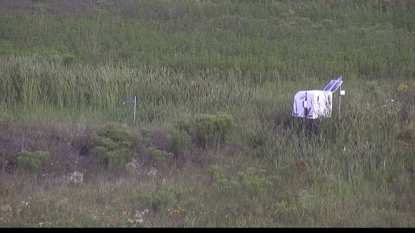 capture-5-23-08-05_09-05-11-35