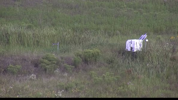 capture-5-23-08-05_09-13-50-30