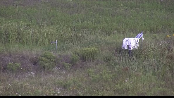 capture-5-23-08-05_09-18-11-33