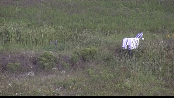 capture-5-23-08-05_09-22-30-49