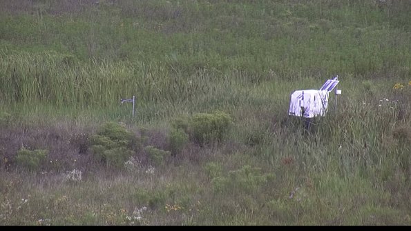 capture-5-23-08-05_09-50-40-62