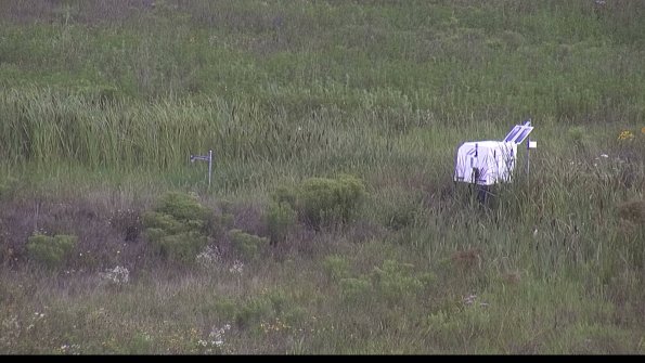 capture-5-23-08-05_09-52-51-36