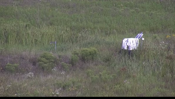 capture-5-23-08-05_10-14-30-29