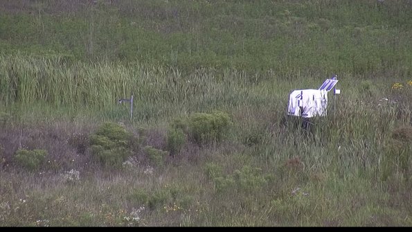 capture-5-23-08-05_10-16-41-29