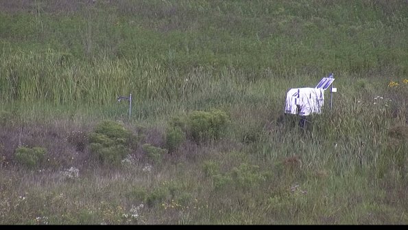 capture-5-23-08-05_10-18-50-42