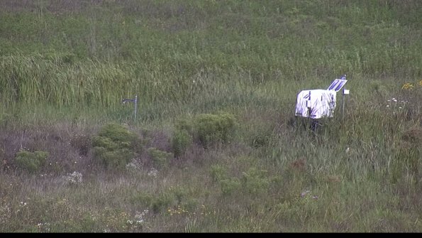 capture-5-23-08-05_10-21-00-39