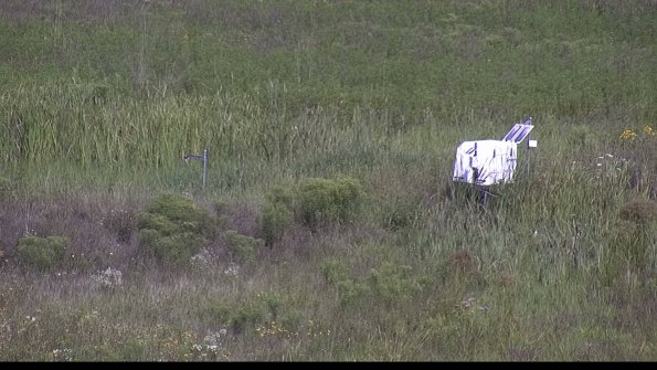 capture-5-23-08-05_10-42-40-33