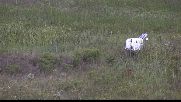 capture-5-23-08-05_11-06-31-36