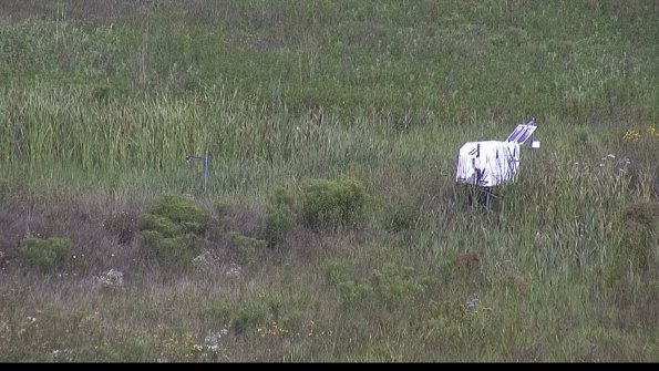 capture-5-23-08-05_11-08-39-63