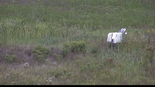 capture-5-23-08-05_11-21-39-51