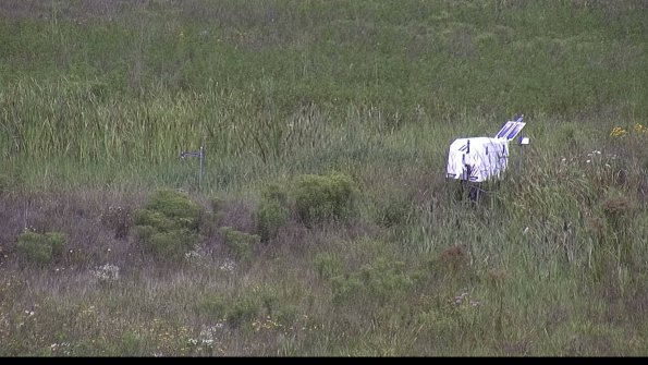 capture-5-23-08-05_11-23-50-51