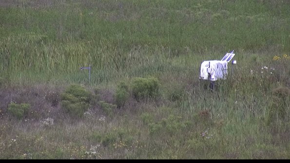 capture-5-23-08-05_11-32-50-65