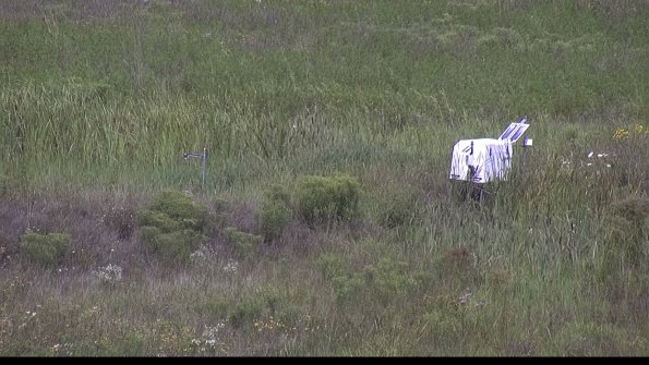 capture-5-23-08-05_11-35-01-42