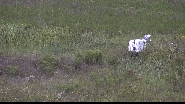 capture-5-23-08-05_11-41-31-57