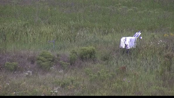 capture-5-23-08-05_11-45-51-50