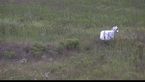 capture-5-23-08-05_11-52-21-39