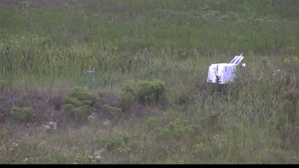 capture-5-23-08-05_11-54-31-26