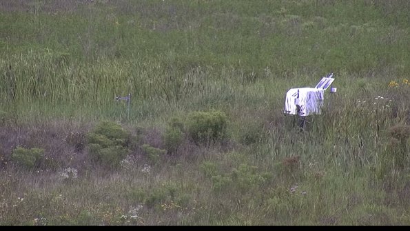 capture-5-23-08-05_11-58-51-39