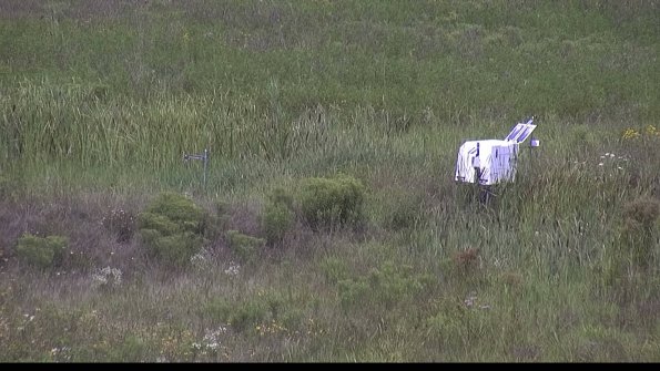 capture-5-23-08-05_12-05-21-38