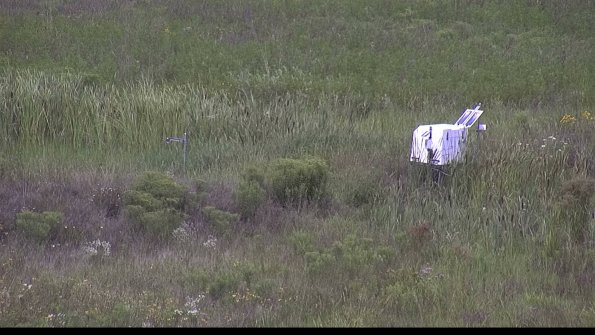 capture-5-23-08-05_12-14-02-17