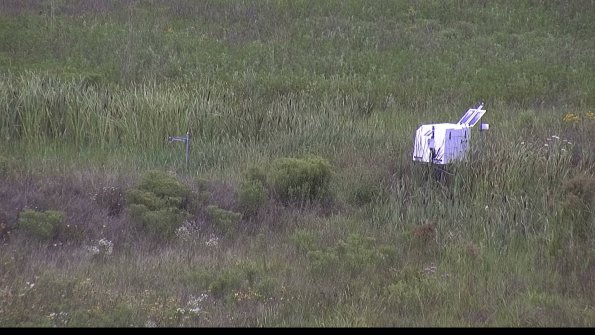 capture-5-23-08-05_12-33-32-34