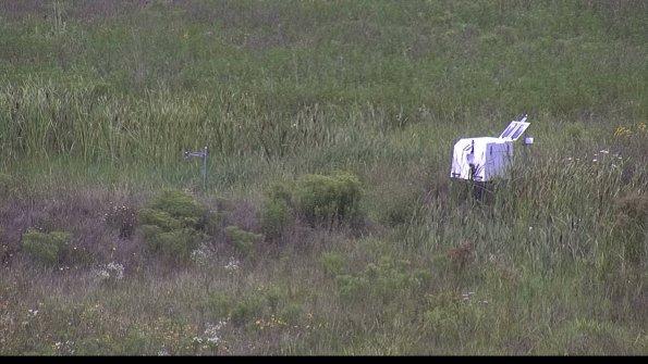 capture-5-23-08-05_12-46-32-02