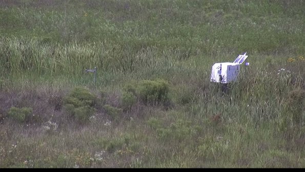 capture-5-23-08-05_12-59-30-84