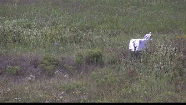 capture-5-23-08-05_13-01-42-24