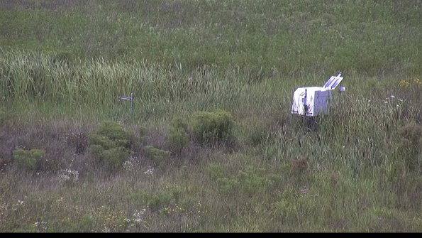 capture-5-23-08-05_13-03-51-40