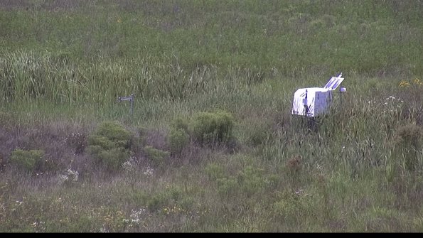 capture-5-23-08-05_13-10-21-83