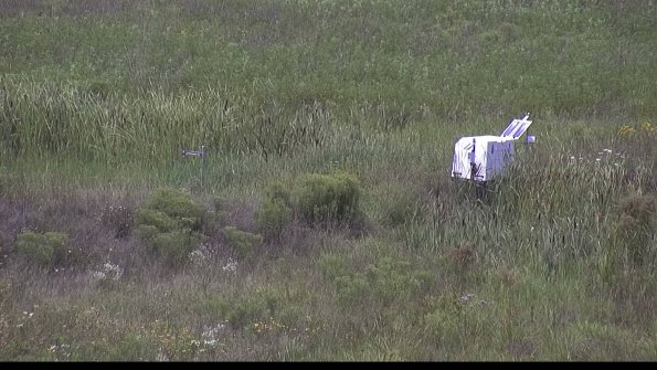 capture-5-23-08-05_13-12-31-19