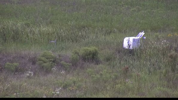 capture-5-23-08-05_13-16-51-92