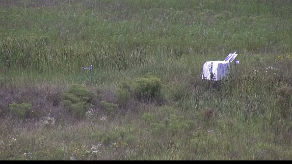 capture-5-23-08-05_13-19-00-88