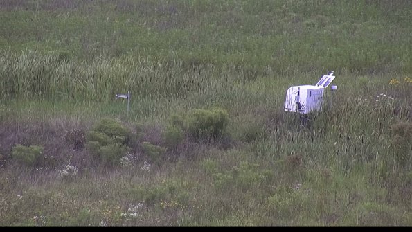 capture-5-23-08-05_13-21-11-88