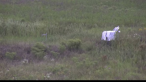 capture-5-23-08-05_13-49-21-94