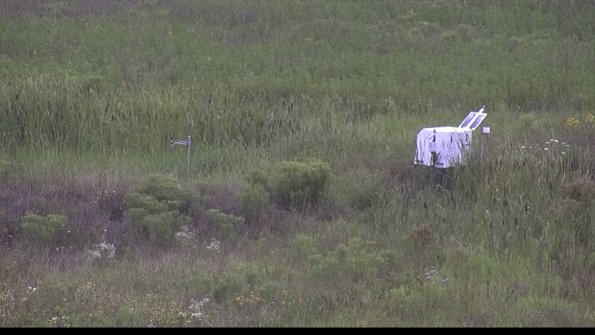 capture-5-23-08-05_14-06-41-82