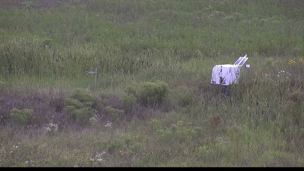 capture-5-23-08-05_14-08-51-95