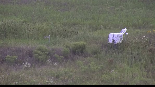 capture-5-23-08-05_14-17-31-94