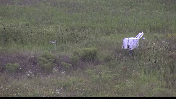 capture-5-23-08-05_14-30-31-89