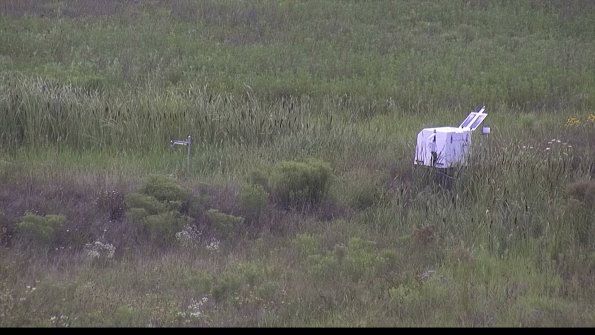 capture-5-23-08-05_15-13-52-00