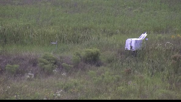 capture-5-23-08-05_15-18-11-76