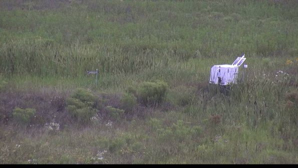 capture-5-23-08-05_16-22-34-65