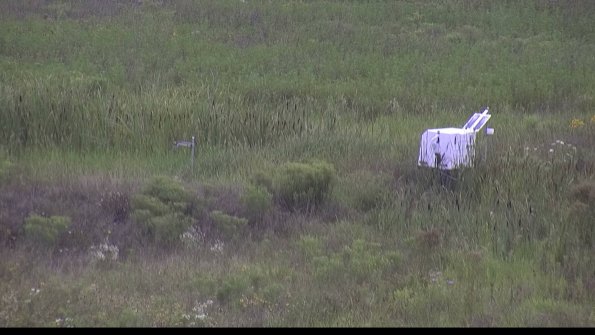 capture-5-23-08-05_16-24-44-91