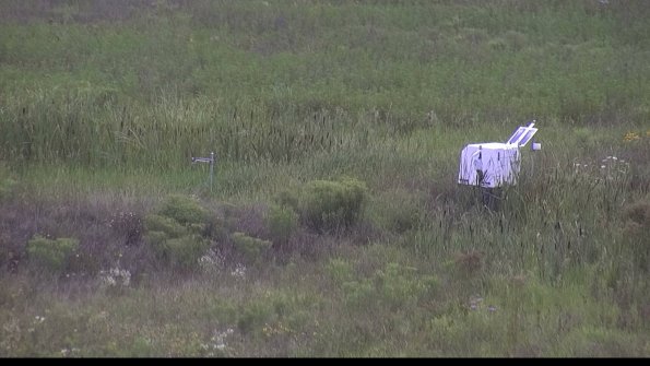 capture-5-23-08-05_16-26-54-74