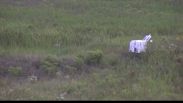 capture-5-23-08-05_16-48-34-78