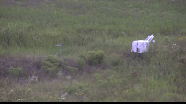 capture-5-23-08-05_16-59-24-90