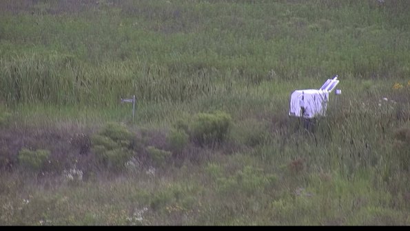 capture-5-23-08-05_17-01-35-16