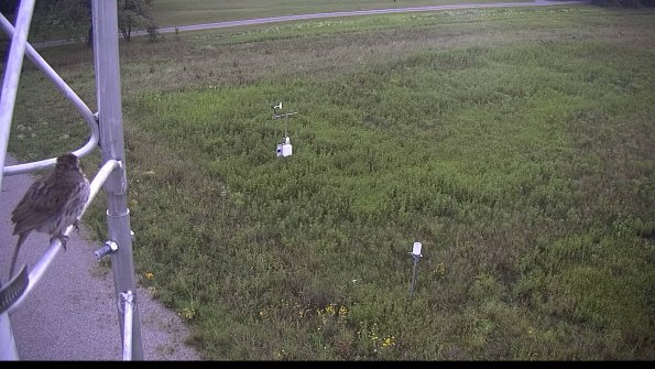 capture-1-23-08-06_08-28-54-38