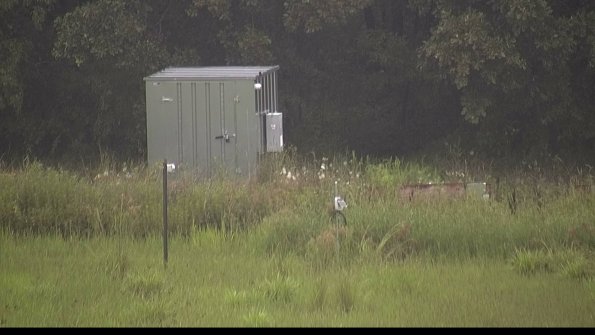 capture-2-23-08-06_07-45-48-01